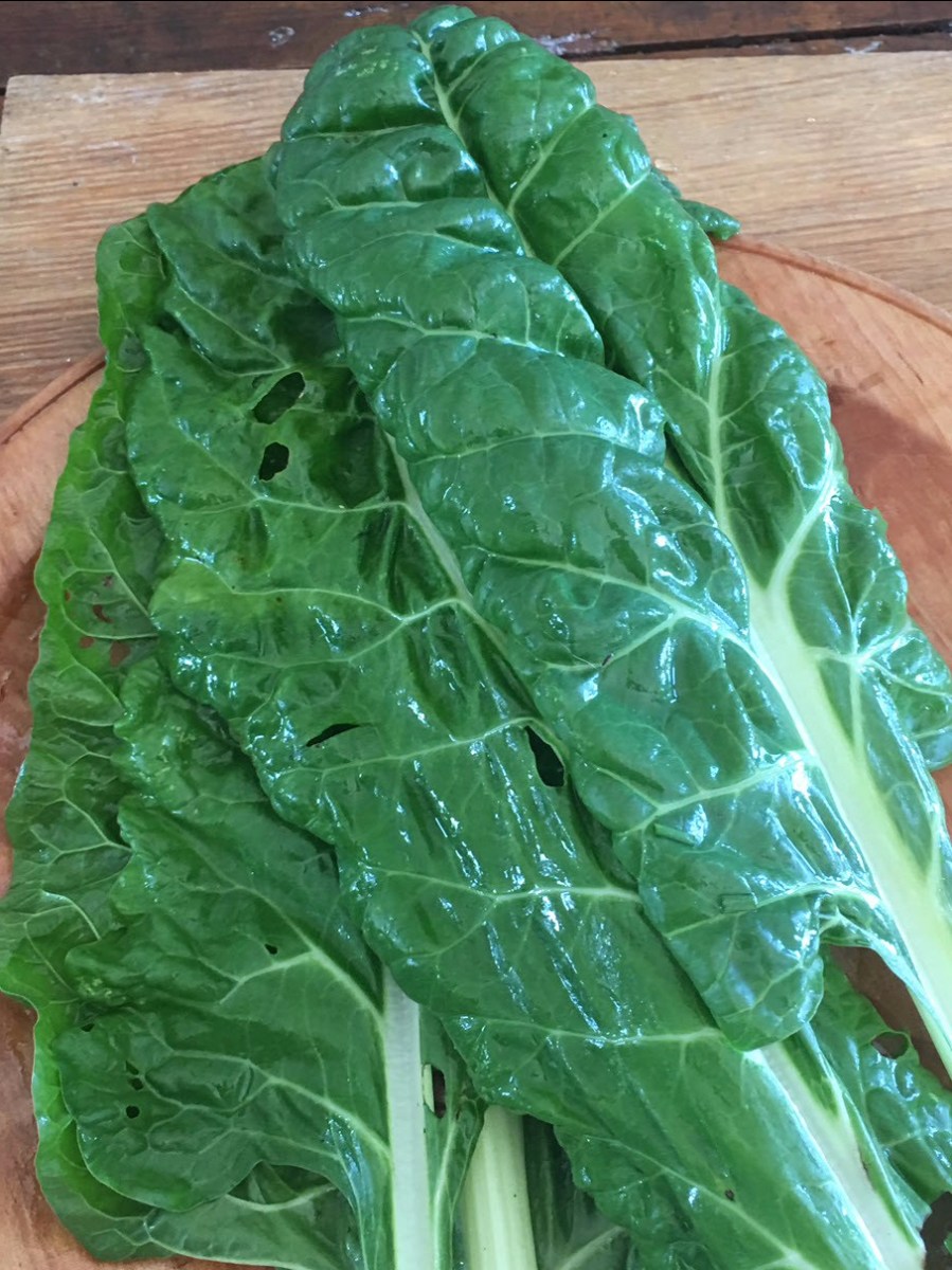 Chard